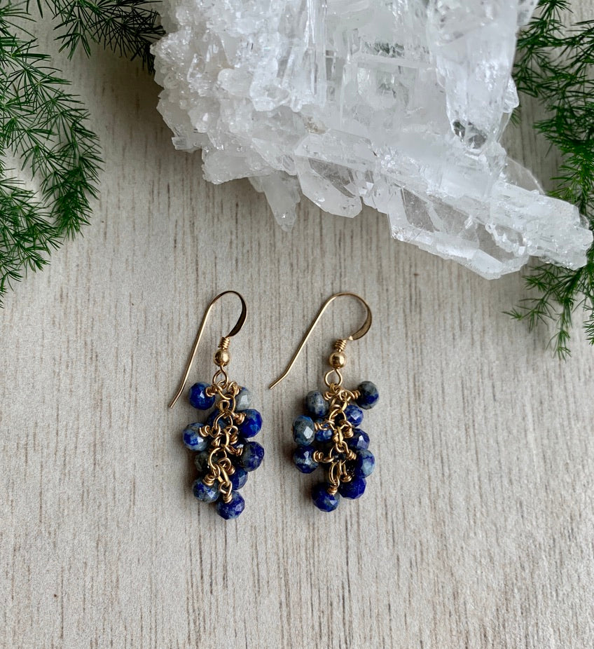 
                
                    Load image into Gallery viewer, Lapis Lazuli Uva Earrings
                
            